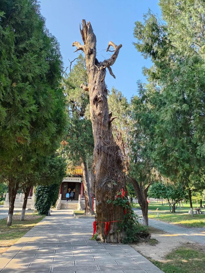 建房子挖到阴宅 建房子挖到阴宅