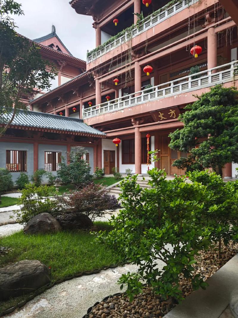 肖战杨紫怀孕肖战杨紫私下怎么样 肖战杨紫怀孕肖战杨紫私下怎么样