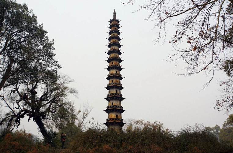 �μ�����ë �μ���ֻ����ʲô����
