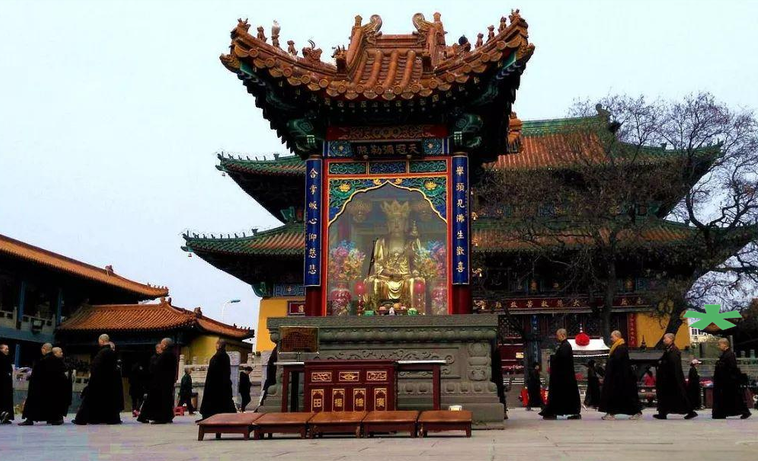属兔今年6月为什么这么不顺 属兔今年6月为什么这么不顺