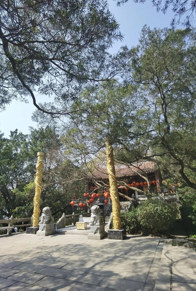 属蛇女与属龙男婚姻相配吗 蛇女和龙男在一起相配吗 属蛇女与属龙男婚姻相配吗 蛇女和龙男在一起相配吗