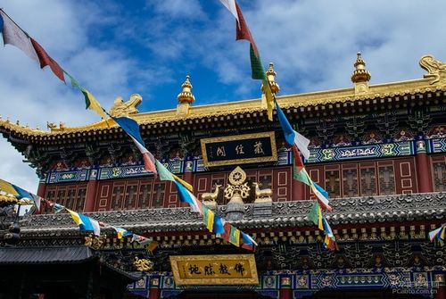 黑豹男主追悼会秘密举行 黑豹男主追悼会秘密举行