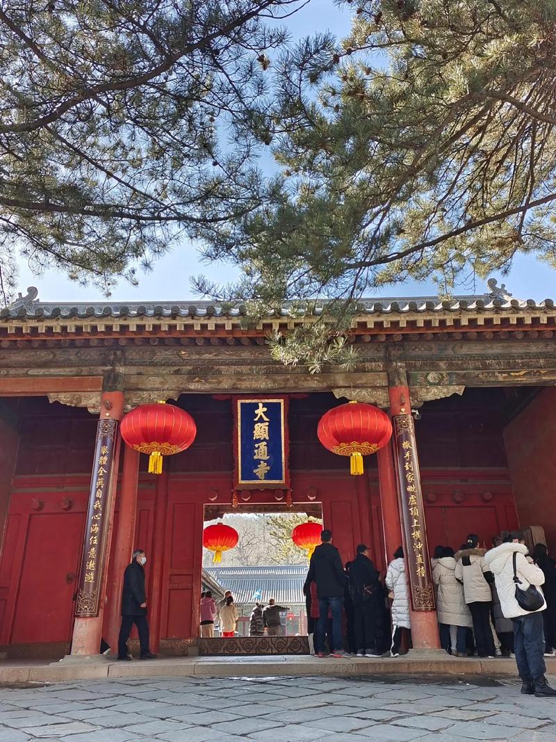 属狗的2026多少岁了啊 (属狗的2026年多少岁) 属狗的2026多少岁了啊 (属狗的2026年多少岁)