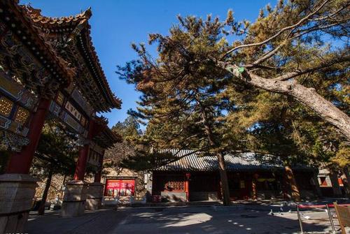 三十六生肖论命解析之驴骡 三十六生肖论命解析之驴骡