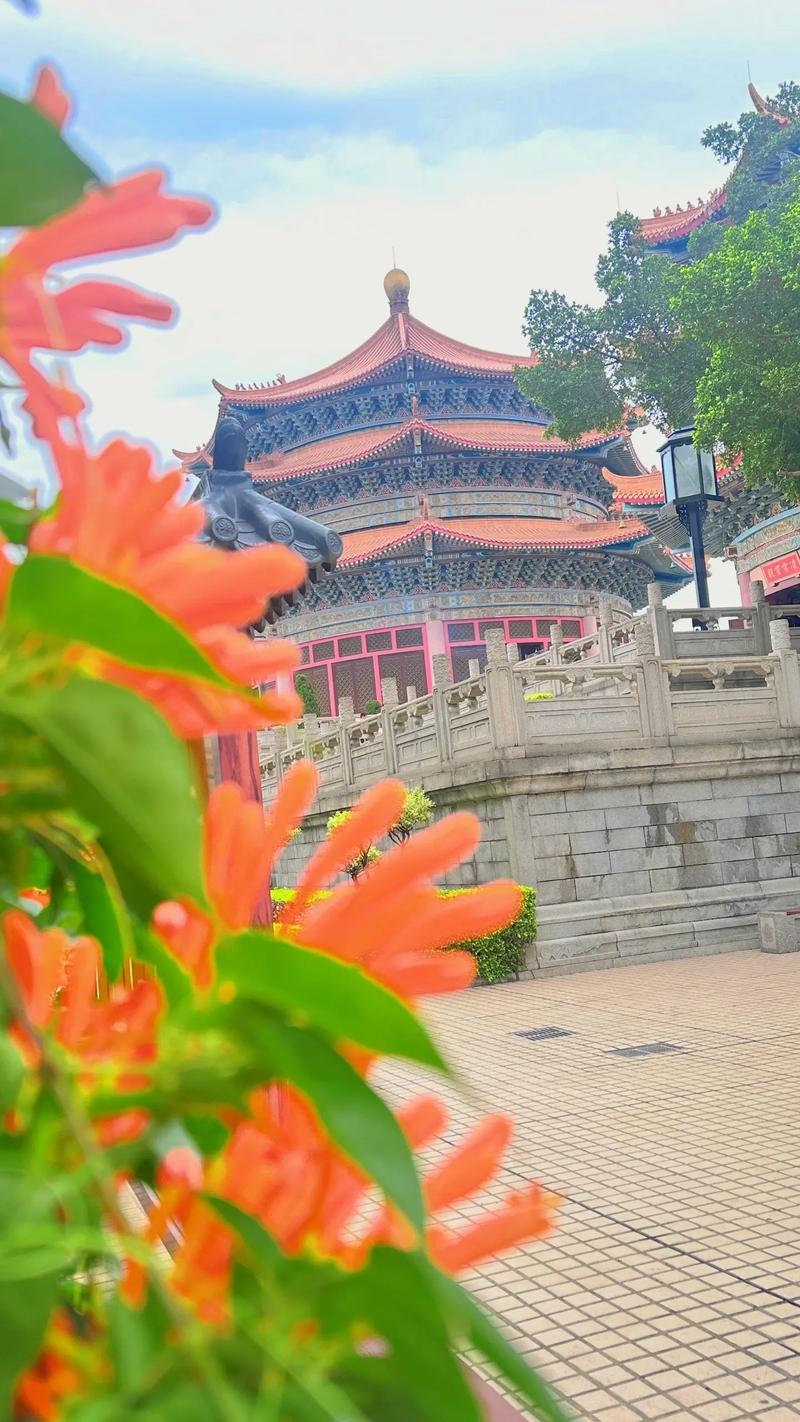 阴宅迁坟后旧坑应放什么 阴宅迁坟后旧坑应放什么