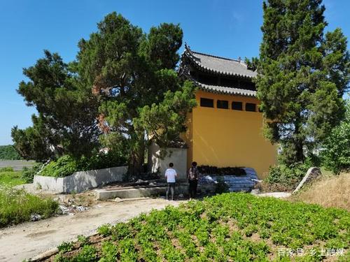 男属兔女属虎婚配好吗,属兔女与属虎男般配吗 男属兔女属虎婚配好吗,属兔女与属虎男般配吗