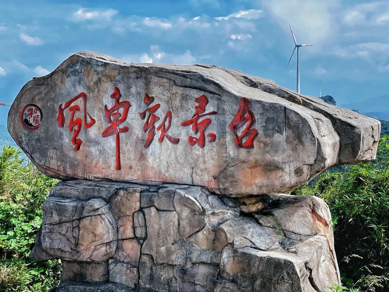 愿你们携手相伴 愿你们携手相伴