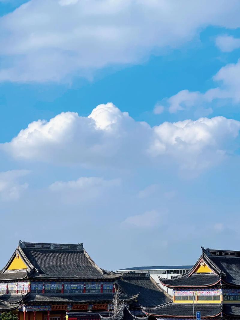 宋轶胡军主演的电视剧 宋轶胡军主演的电视剧