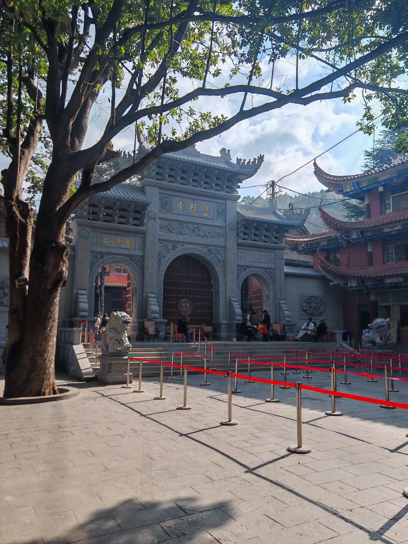 苍姓字辈排行 苍姓字辈排行