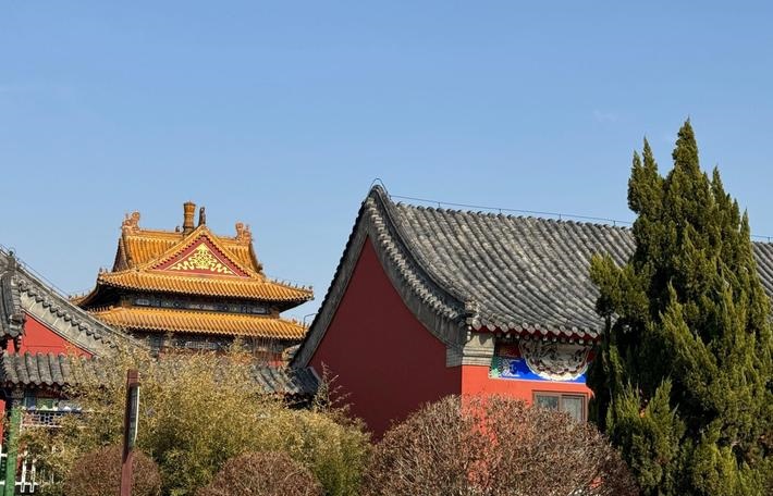 狮子座处女座配对指数,狮子座(男)和处女座 狮子座处女座配对指数,狮子座(男)和处女座