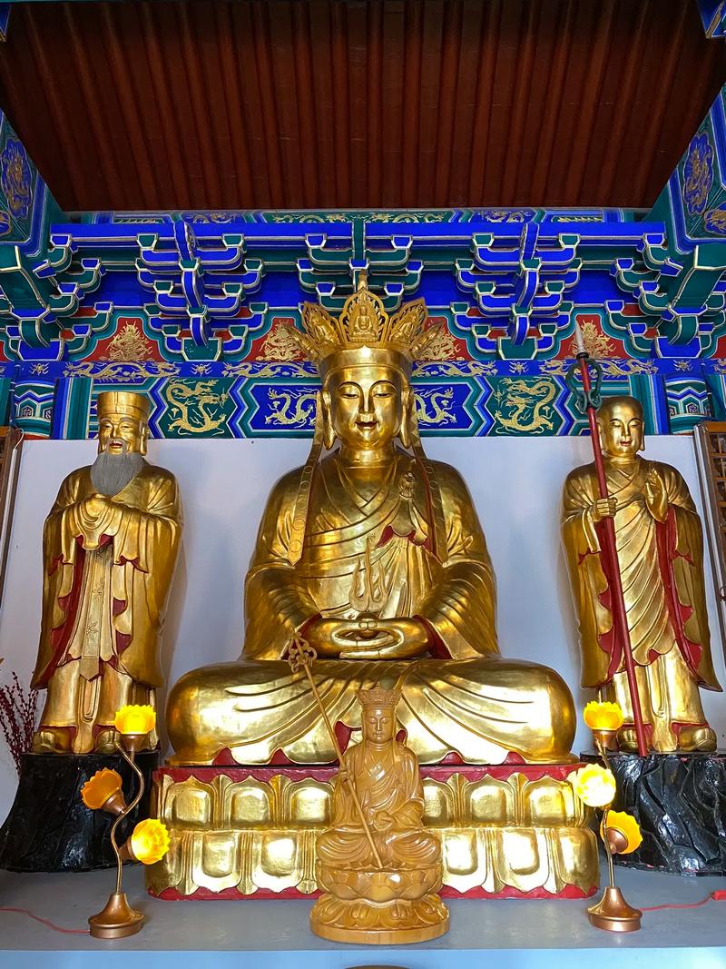 双程广播剧-双程广播剧配音演员表 双程广播剧-双程广播剧配音演员表