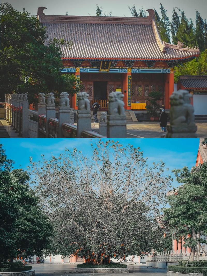 属兔1963年人今年运势,1963年属兔2018年运势及运 属兔1963年人今年运势,1963年属兔2018年运势及运