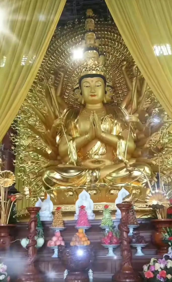 属马人2026年爱情运势,2026年属马的运势和财运 属马人2026年爱情运势,2026年属马的运势和财运