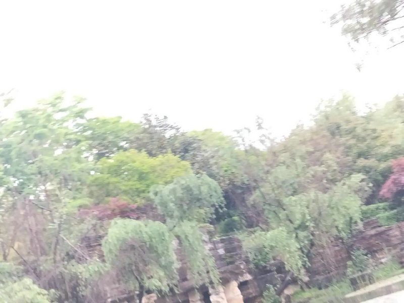 别墅门朝向风水禁忌 别墅门朝向风水禁忌