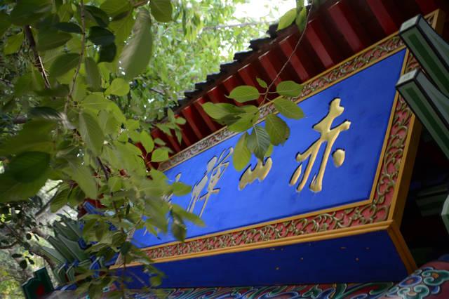 兄弟种桃背后的情感纠葛与隐喻寓意分析 兄弟种桃背后的情感纠葛与隐喻寓意分析
