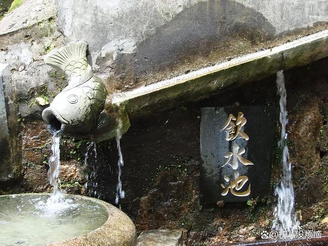 杜淳妻子个人资料多大 杜淳妻子个人资料多大