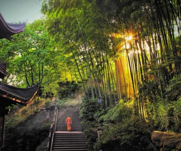 属猪2025年狗年运势 属猪2025年各月运势是什么意思? 属猪2025年狗年运势 属猪2025年各月运势是什么意思?