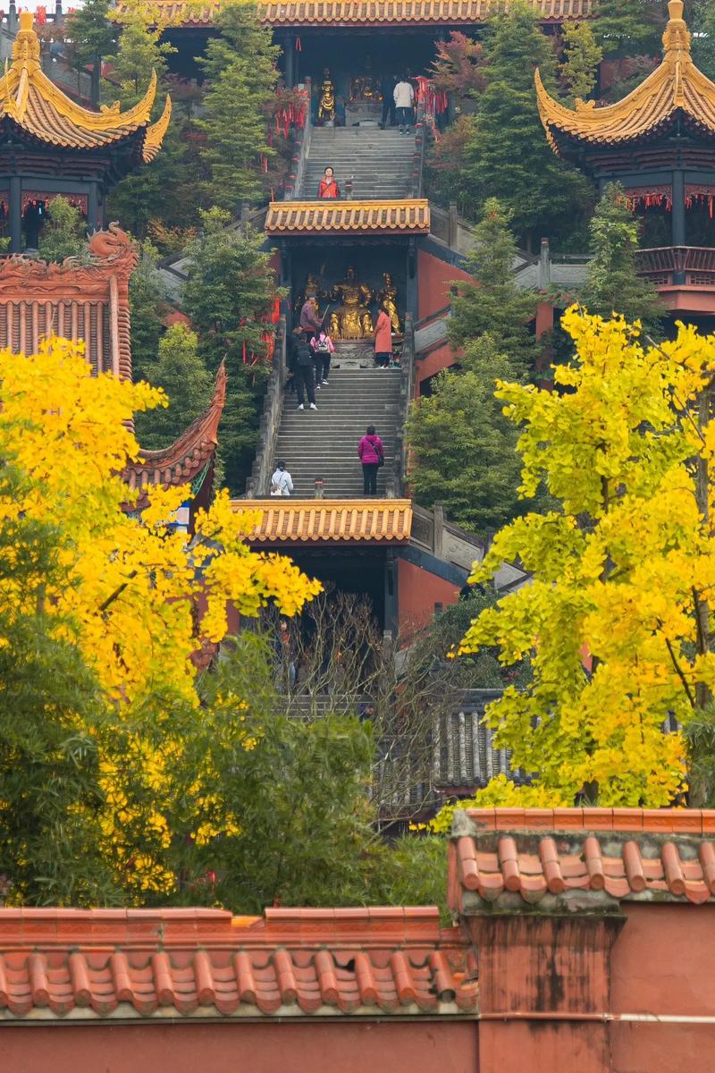 庚金生于申月八字女命 庚金生申月是什么格 庚金生于申月八字女命 庚金生申月是什么格