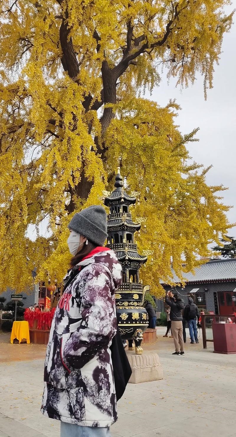 最佳婚配虎配什么属相(属虎的最佳婚配) 最佳婚配虎配什么属相(属虎的最佳婚配)