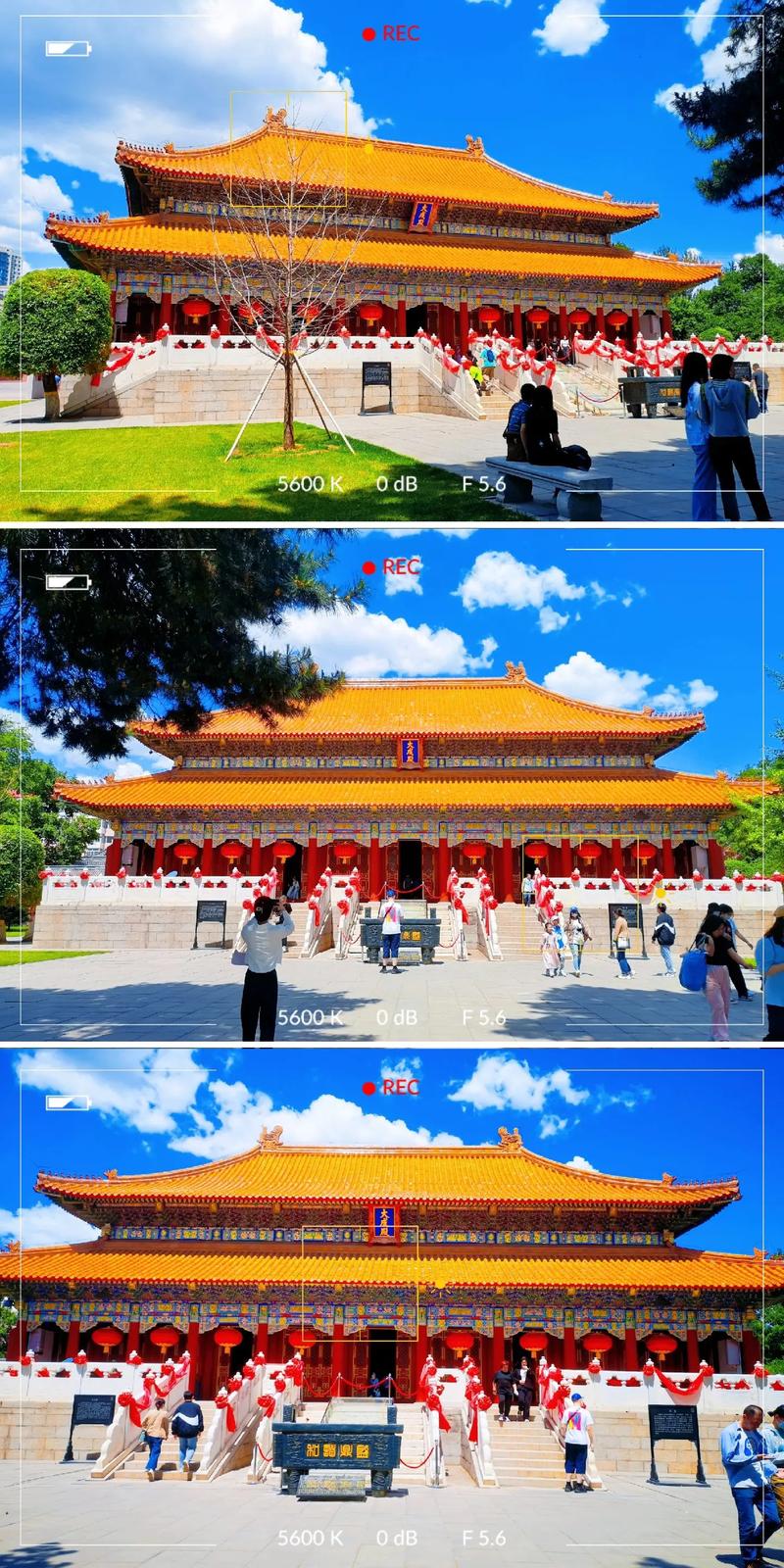 看相算命大全看相算命大全有图像 看相算命大全看相算命大全有图像