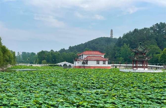 印小天个人资料简介年龄 印小天个人资料简介年龄