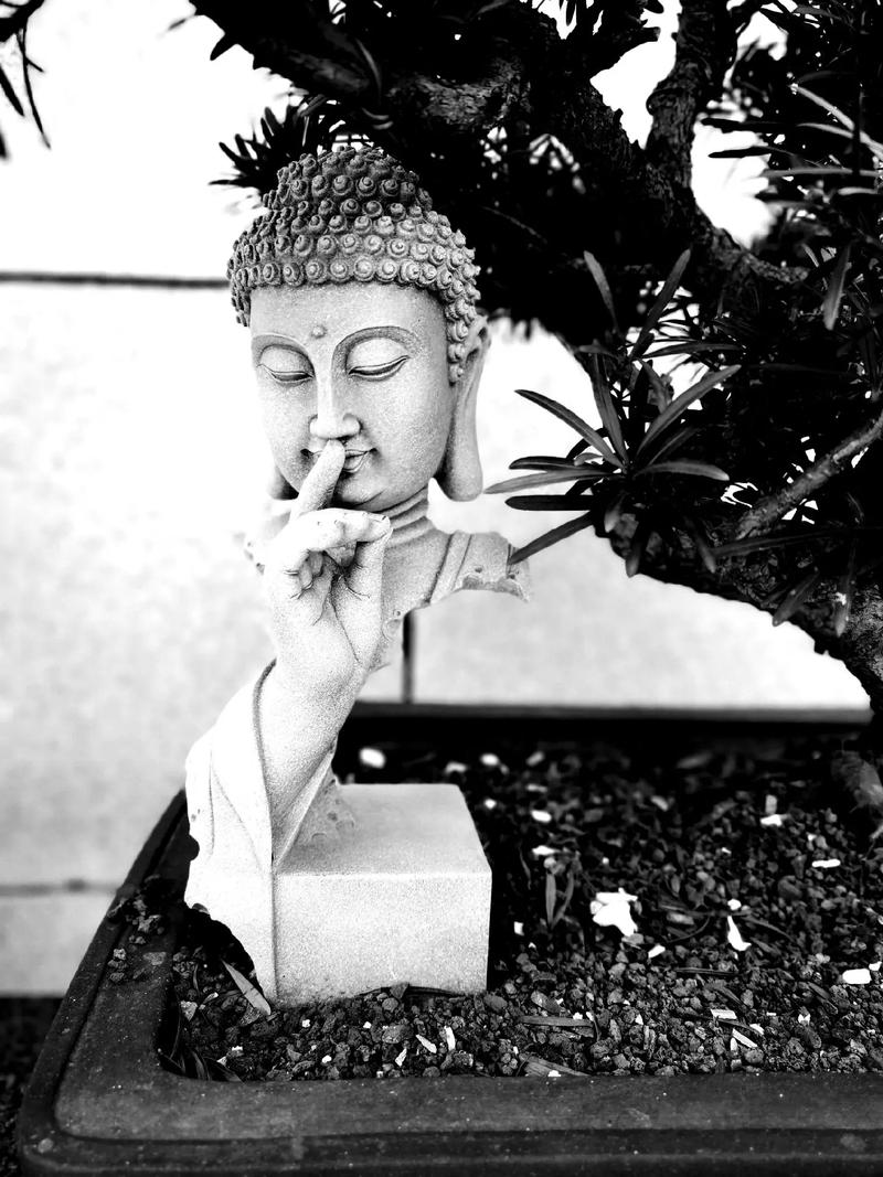 温碧霞的面相分析(温碧霞的电影) 温碧霞的面相分析(温碧霞的电影)