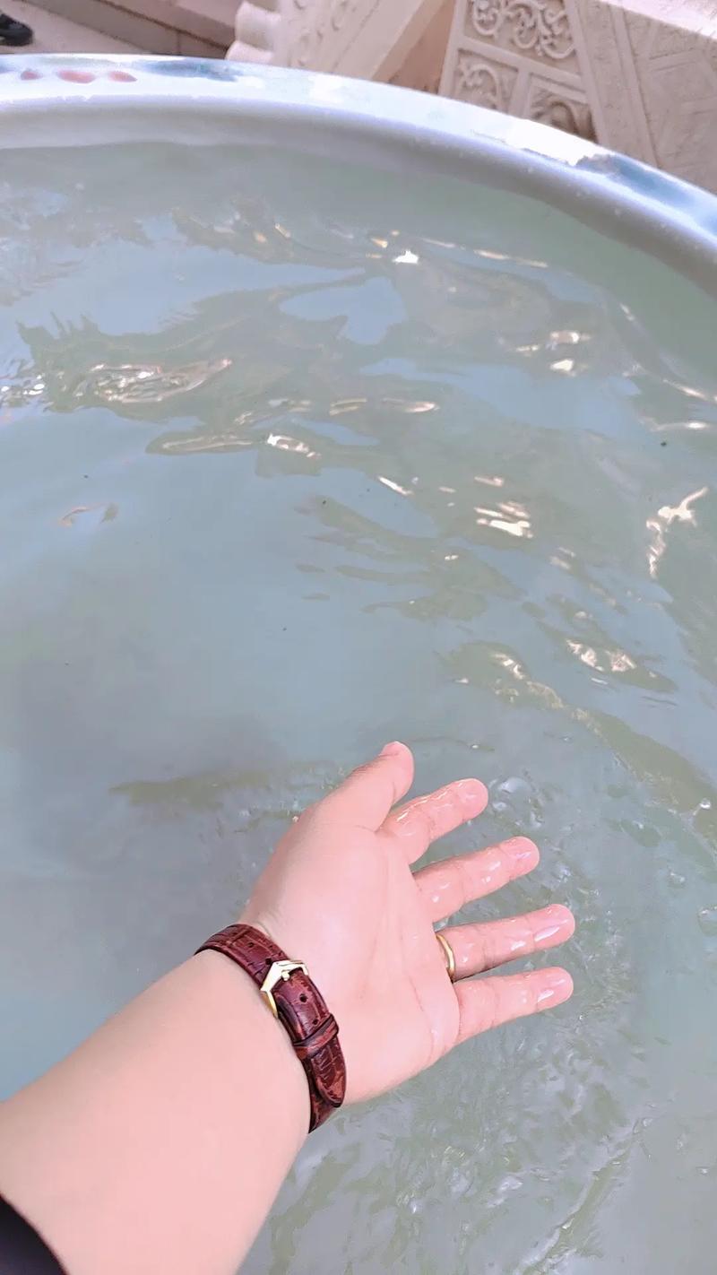 ���������ྪ�����࿴���Ǽ�ƷŮ����