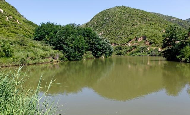 小苹果电影无删减版在线 小苹果电影无删减版在线