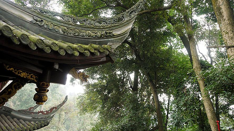 虐天蝎后果 天蝎男虐女友的视频 虐天蝎后果 天蝎男虐女友的视频