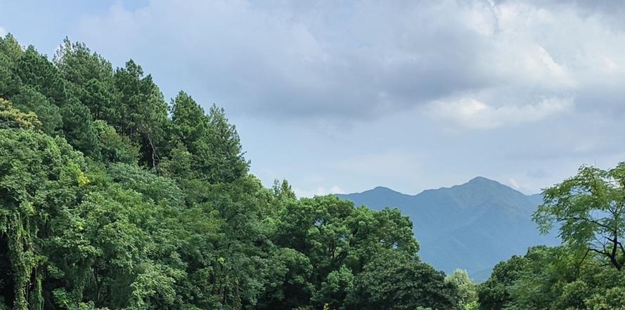风水论住宅地基 风水论住宅地基