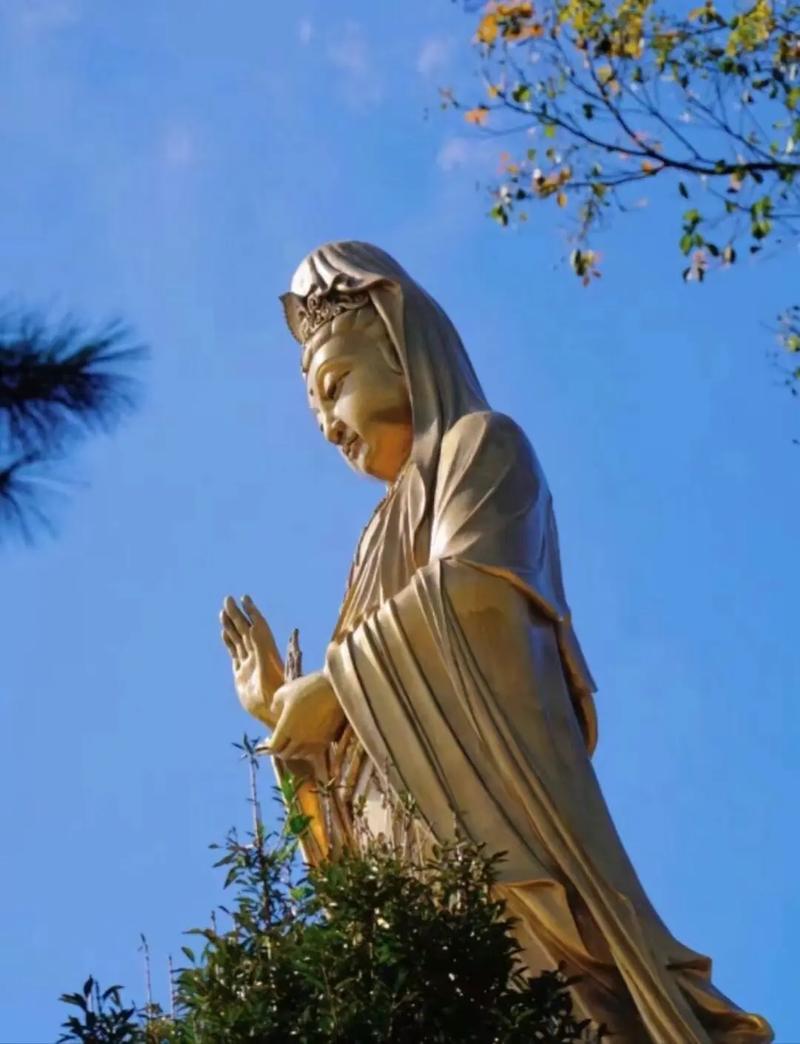 易学风水命理视频周易看风水 易学风水命理视频周易看风水