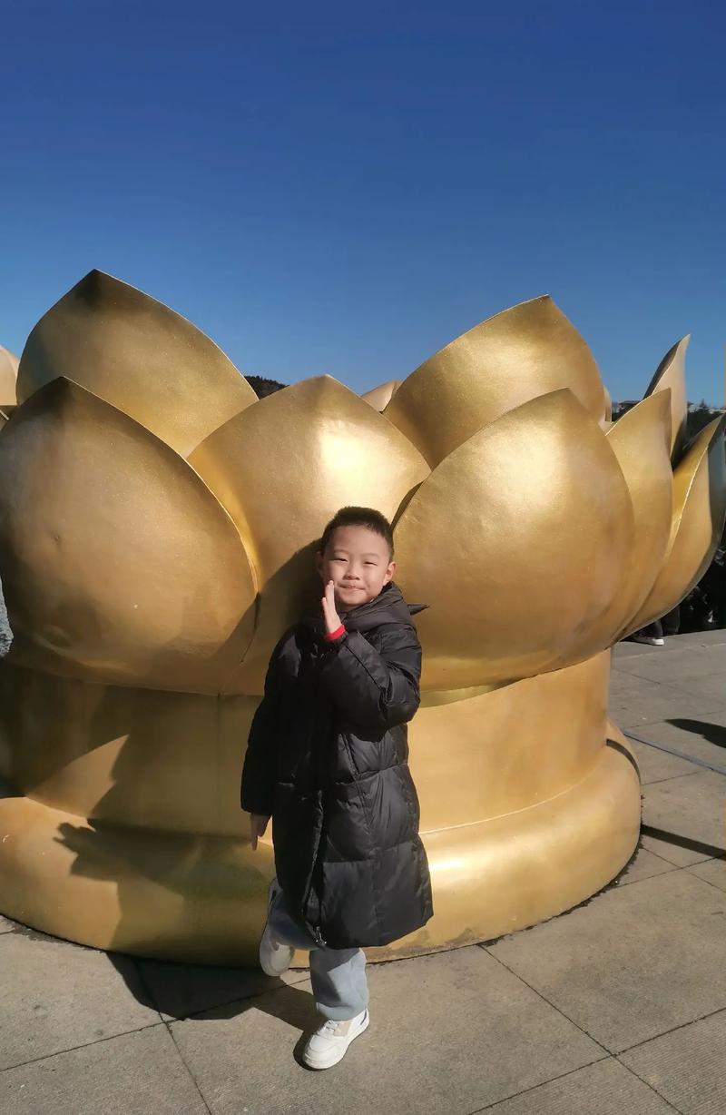 91年属羊2025年婚姻 91年男羊2025年婚姻状况 91年属羊2025年婚姻 91年男羊2025年婚姻状况