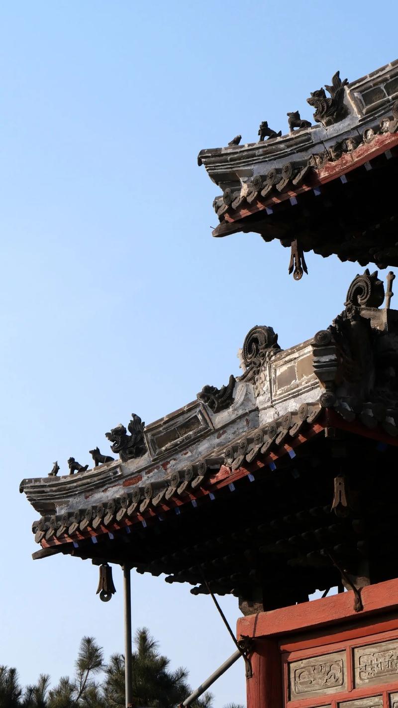 为什么牛蛇婚配穷一辈子 为什么蛇最配的是牛 为什么牛蛇婚配穷一辈子 为什么蛇最配的是牛
