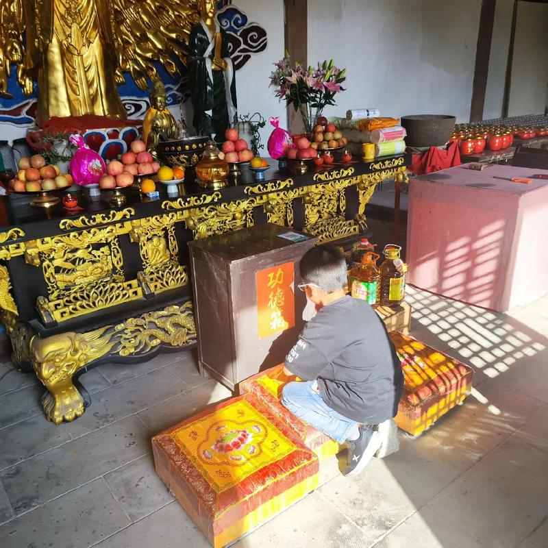 家中放盆栽风水 小叶紫檀盆栽的风水 家中放盆栽风水 小叶紫檀盆栽的风水