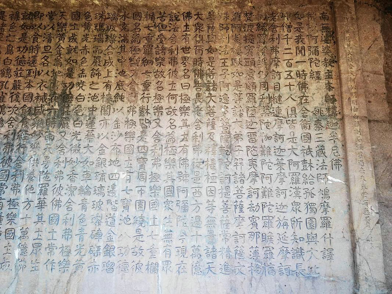 阴宅地面前能种树吗 阴宅地面前能种树吗
