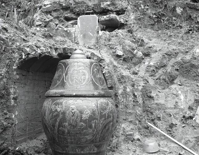 梦中小槐树盛景_槐花满枝桠的梦境世界 梦中小槐树盛景_槐花满枝桠的梦境世界