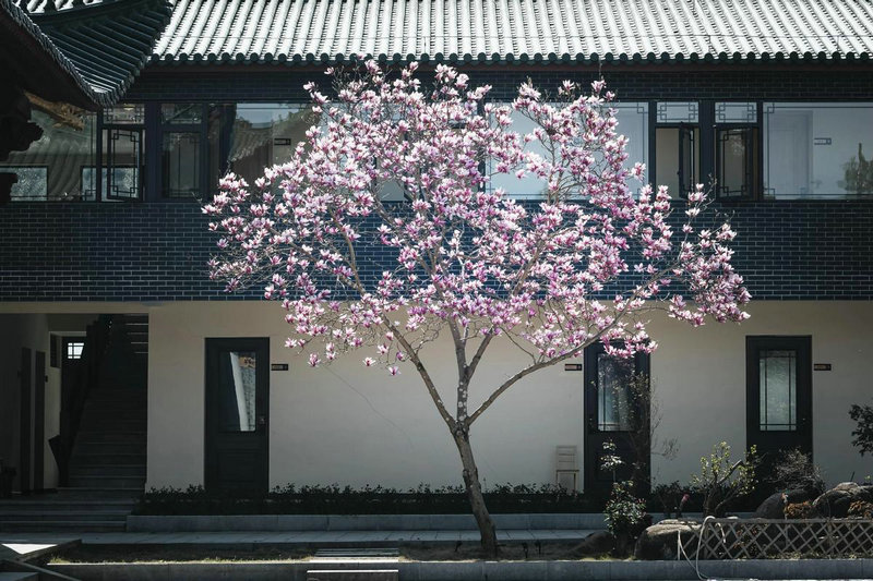 十二生肖最亏欠父母的是什么 十二生肖最亏欠父母的是什么