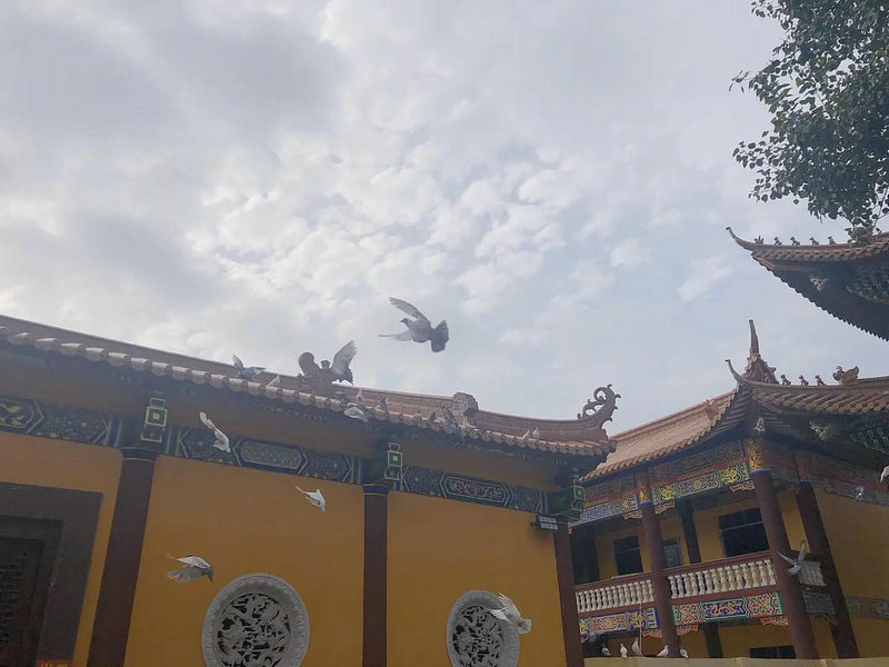 星宗十二宫算命法 观音十二宫位详解 星宗十二宫算命法 观音十二宫位详解