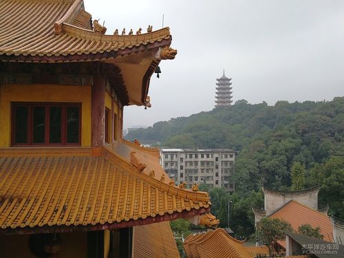 刘涛晒照穿紧身衣暴露身材 刘涛晒照穿紧身衣暴露身材