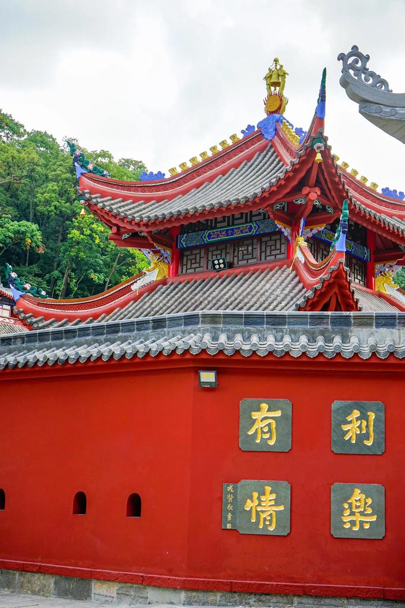 鸡和狗属相不合怎样化解,十二生肖的狗和鸡是不是不合 鸡和狗属相不合怎样化解,十二生肖的狗和鸡是不是不合