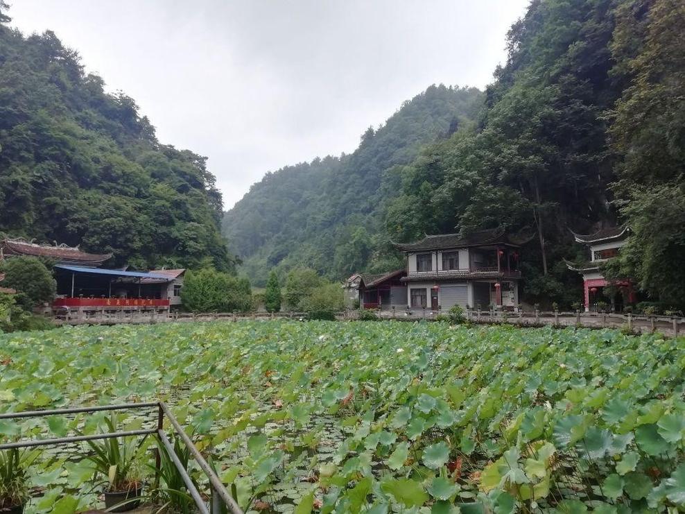 生辰八字农历查询免费,农历生辰八字查询表 生辰八字农历查询免费,农历生辰八字查询表