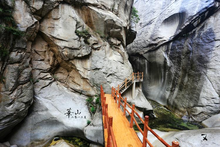 金牛座福特好(金牛福特金牛座) 金牛座福特好(金牛福特金牛座)